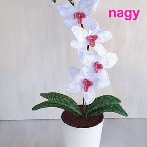 Horgolt fehér orchidea kaspóban - kicsi vagy nagy - otthon & életmód - dekoráció - Meska.hu