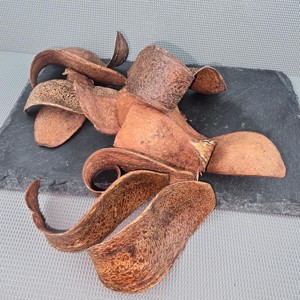 Kobra fej - barna 4 dkg, Kellékek & szerszámok, Dekorációs kellékek, Termések, terméscsomagok, , MESKA