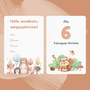Babakártyák, hónapkártyák, mérföldkő kártyák  erdei állatok grafika - játék & sport - babalátogató ajándékcsomag - Meska.hu