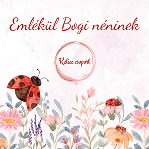 Katicás 2. - Óvónéni búcsúztató, Tanító néni búcsúztató - emlékkönyv / egyedi felirattal - otthon & életmód - papír, írószer - jegyzetfüzet & napló - Meska.hu