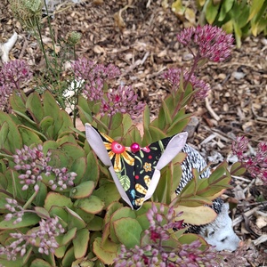 Pillangós textil hajgumi - ruha & divat - hajdísz & hajcsat - hajgumi - Meska.hu