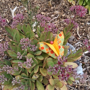 Pillangós textil hajgumi - ruha & divat - hajdísz & hajcsat - hajgumi - Meska.hu