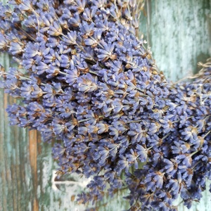 Levendula koszorú  - otthon & életmód - dekoráció - ajtó- és ablak dekoráció - ajtódísz & kopogtató - Meska.hu