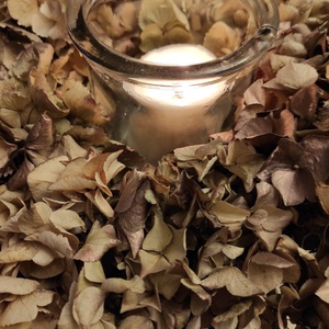 Adventi, szárított hortenzia kopogtató/asztaldísz - otthon & életmód - dekoráció - ajtó- és ablak dekoráció - ablakdísz - Meska.hu