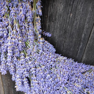 Hatalmas, nagyon nagy és súlyos levendula koszorú/kopogató  - otthon & életmód - dekoráció - ajtó- és ablak dekoráció - ajtódísz & kopogtató - Meska.hu