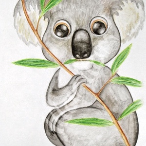 Koala - rajz -  - Meska.hu