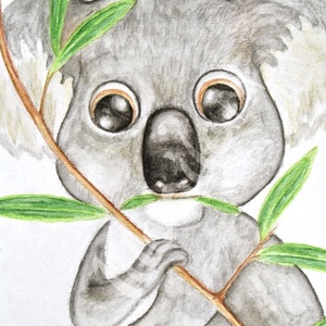 Koala - rajz -  - Meska.hu
