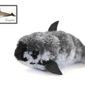 Vaquita - kaliforniai barnadelfin, disznódelfin -  - Meska.hu