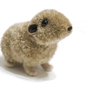 Gundi (Ctenodactylus gundi) - otthon & életmód - dekoráció - dísztárgy - Meska.hu