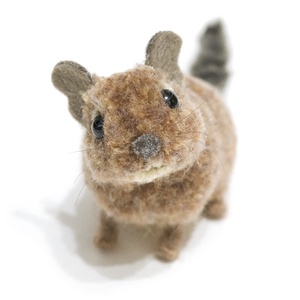 Degu - M - barna - Meska.hu