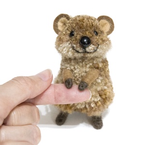 Quokka - kurtafarkú kenguru - Meska.hu