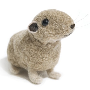 Gundi (Ctenodactylus gundi) - otthon & életmód - dekoráció - dísztárgy - Meska.hu