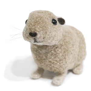 Gundi (Ctenodactylus gundi) - otthon & életmód - dekoráció - dísztárgy - Meska.hu