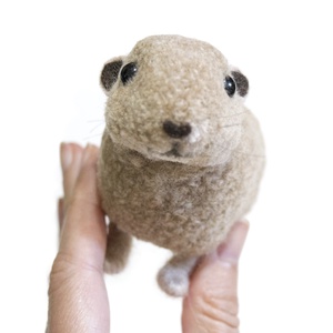 Gundi (Ctenodactylus gundi), Otthon & Életmód, Dekoráció, Dísztárgy, Mindenmás, MESKA