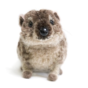 Fokföldi szirtiborz, hyrax - otthon & életmód - dekoráció - dísztárgy - Meska.hu