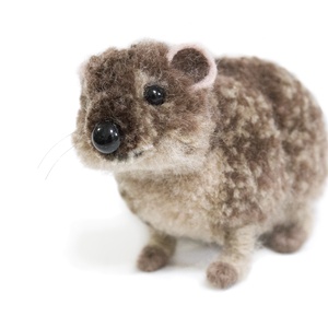 Fokföldi szirtiborz, hyrax - otthon & életmód - dekoráció - dísztárgy - Meska.hu