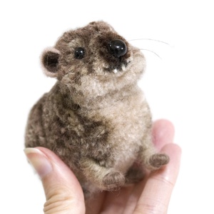 Fokföldi szirtiborz, hyrax - otthon & életmód - dekoráció - dísztárgy - Meska.hu