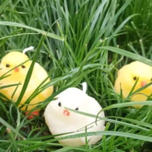 Csibe- Húsvéti dekorgyertya - Meska.hu