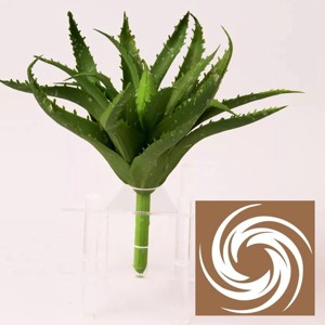 Aloe vera - sötétzöld, Kellékek & szerszámok, Dekorációs kellékek, Egyéb kellékek, , MESKA