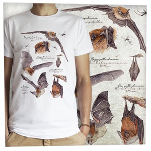 Denevér -  Jó minőségű klasszikus férfipóló, Ruha & Divat, Férfi ruha, Póló, Fotó, grafika, rajz, illusztráció, MESKA