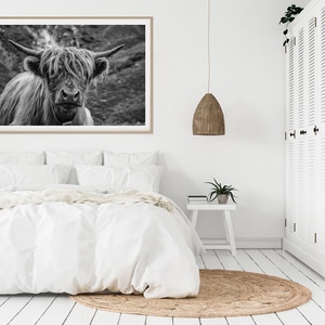 Bika fénykép, Természet kép, Otthoni dekoráció, Falikép, DIGITÁLIS VÁLTOZAT, Highland Cow Print, Művészet, Fotográfia, Természetfotó, Fotó, grafika, rajz, illusztráció, MESKA