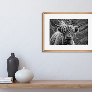 Bika fénykép, Természet kép, Otthoni dekoráció, Falikép, DIGITÁLIS VÁLTOZAT, Highland Cow Print - művészet - fotográfia - természetfotó - Meska.hu