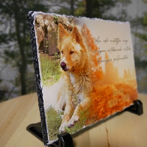 Egyedi kőlap fotónak vagy emléktárgynak 20x20cm - otthon & életmód - kisállatoknak - cicáknak & macskáknak - Meska.hu