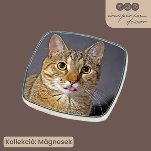 Hűtőmágnes (saját fényképpel), Otthon & Életmód, Kisállatoknak, Cicáknak & Macskáknak, Fotó, grafika, rajz, illusztráció, Mindenmás, MESKA