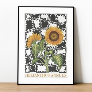 Helianthus annuus print , Művészet, Grafika & Illusztráció, Művészi nyomat, Fotó, grafika, rajz, illusztráció, MESKA