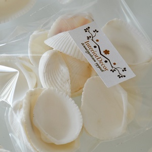 Fésűkagyló csomag (natúr, fehér), Kellékek & szerszámok, Dekorációs kellékek, Egyéb kellékek, Virágkötés, MESKA