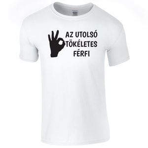 Az utolsó tökéletes férfi póló, Ruha & Divat, Férfi ruha, Póló, Decoupage, transzfer és szalvétatechnika, Fotó, grafika, rajz, illusztráció, MESKA