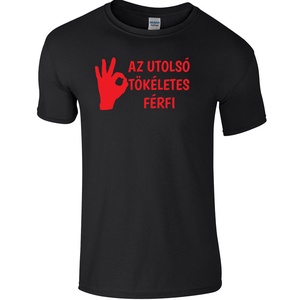 Az utolsó tökéletes férfi póló - ruha & divat - férfi ruha - póló - Meska.hu