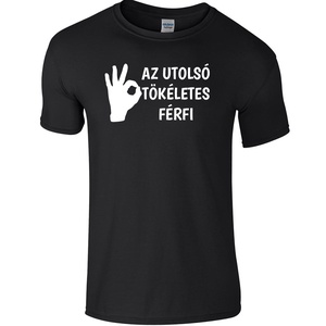 Az utolsó tökéletes férfi póló - ruha & divat - férfi ruha - póló - Meska.hu