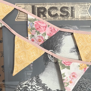 ircsisufni
