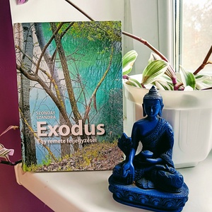 Exodus � Egy remete feljegyzései dedikált, egyedi rajzzal kiegészített verseskötet, Otthon & Életmód, Dekoráció, Dekoratív figurák és szobrok, Fotó, grafika, rajz, illusztráció, MESKA