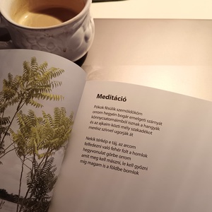 Exodus � Egy remete feljegyzései dedikált, egyedi rajzzal kiegészített verseskötet - otthon & életmód - dekoráció - dekoratív figurák és szobrok - Meska.hu