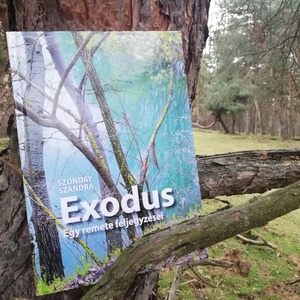 Exodus � Egy remete feljegyzései dedikált, egyedi rajzzal kiegészített verseskötet - otthon & életmód - dekoráció - dekoratív figurák és szobrok - Meska.hu