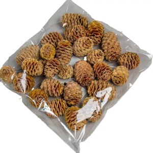 Sabulosum 18 dkg - natúr, Kellékek & szerszámok, Dekorációs kellékek, Termések, terméscsomagok, , MESKA
