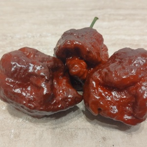 Csoki habanero krém 40 ml - élelmiszer - fűszer - Meska.hu