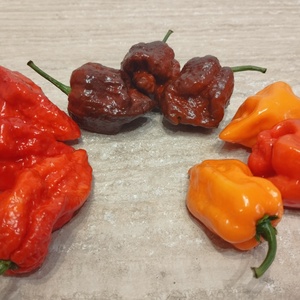 Vegyes chili krém 130 ml - élelmiszer - fűszer - Meska.hu