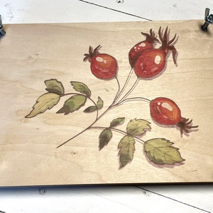 Virágprés/levélprés - csipkebogyós levél- és virágprés, DIY (Csináld magad), Egységcsomag, Fotó, grafika, rajz, illusztráció, MESKA