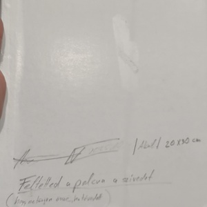 Feltetted a polcra a szívedet - akril festmény  - művészet - festmény - akril - Meska.hu