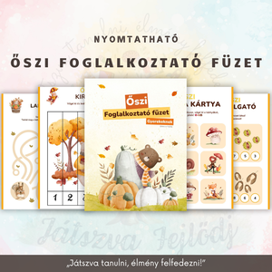 Őszi foglalkoztató füzet, Játék & Sport, Készségfejlesztő és Logikai játék, Oktató játékok, Mindenmás, MESKA