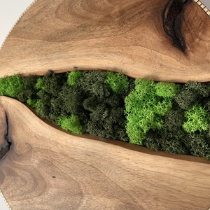 Kör alakú zuzmó falikép természetes fa alapon - otthon & életmód - dekoráció - asztal és polc dekoráció - zuzmódekoráció, mohadekoráció - Meska.hu