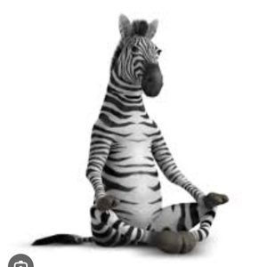 Zebra álarc és farok filcből - ruha & divat - jelmez & álarc - álarc - Meska.hu