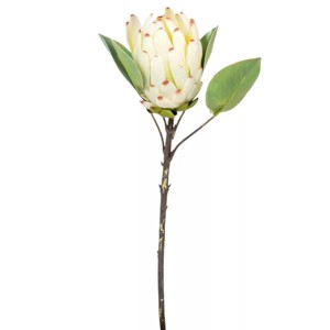 Protea ág - krém, Kellékek & szerszámok, Dekorációs kellékek, Virágfej, , MESKA