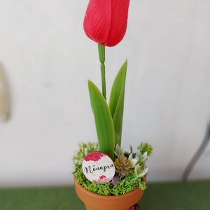 Cserepes tulipán - Meska.hu