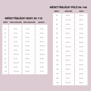 EGY ÉVES LETTEM - DÍNO LUFIVAL - EGYEDI FELIRATOS gyermek póló vagy kombidressz (body) aranyos  grafikával - ruha & divat - babaruha & gyerekruha - body - Meska.hu