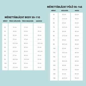 KÉT ÉVES LETTEM - ELEFÁNT TORTÁVAL - EGYEDI FELIRATOS gyermek póló vagy body - ruha & divat - babaruha & gyerekruha - body - Meska.hu