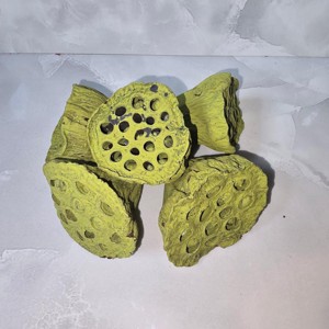 Lótusz kicsi 4-6 cm 12db-os - falfestékes olíva, , , MESKA